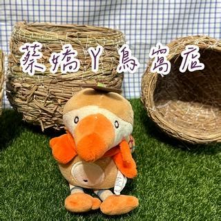 鳥窩|鳥窩｜優惠推